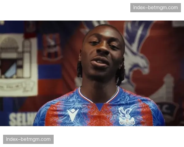 西汉姆联0-2不敌水晶宫，莫耶斯赛后坦言球队状态不佳