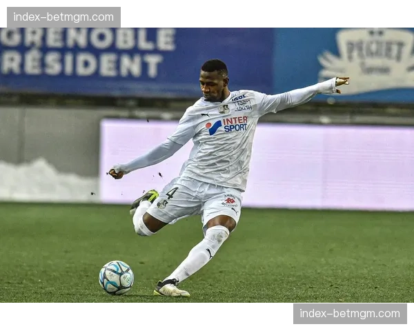 评论：VAR本赛季在法甲的使用频率与争议点分析